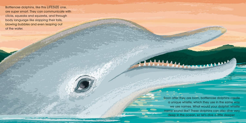 Lifesize Ocean Animals (Sophy Henn)-Children’s / Teenage general interest: Nature and animals-買書書 BuyBookBook