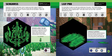 Minecraft Official Blocks Guide