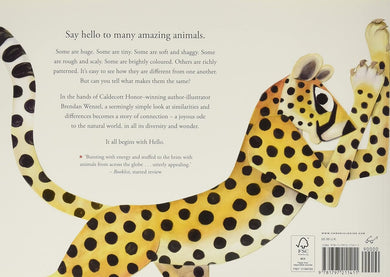Hello Hello-Children’s picture books-買書書 BuyBookBook