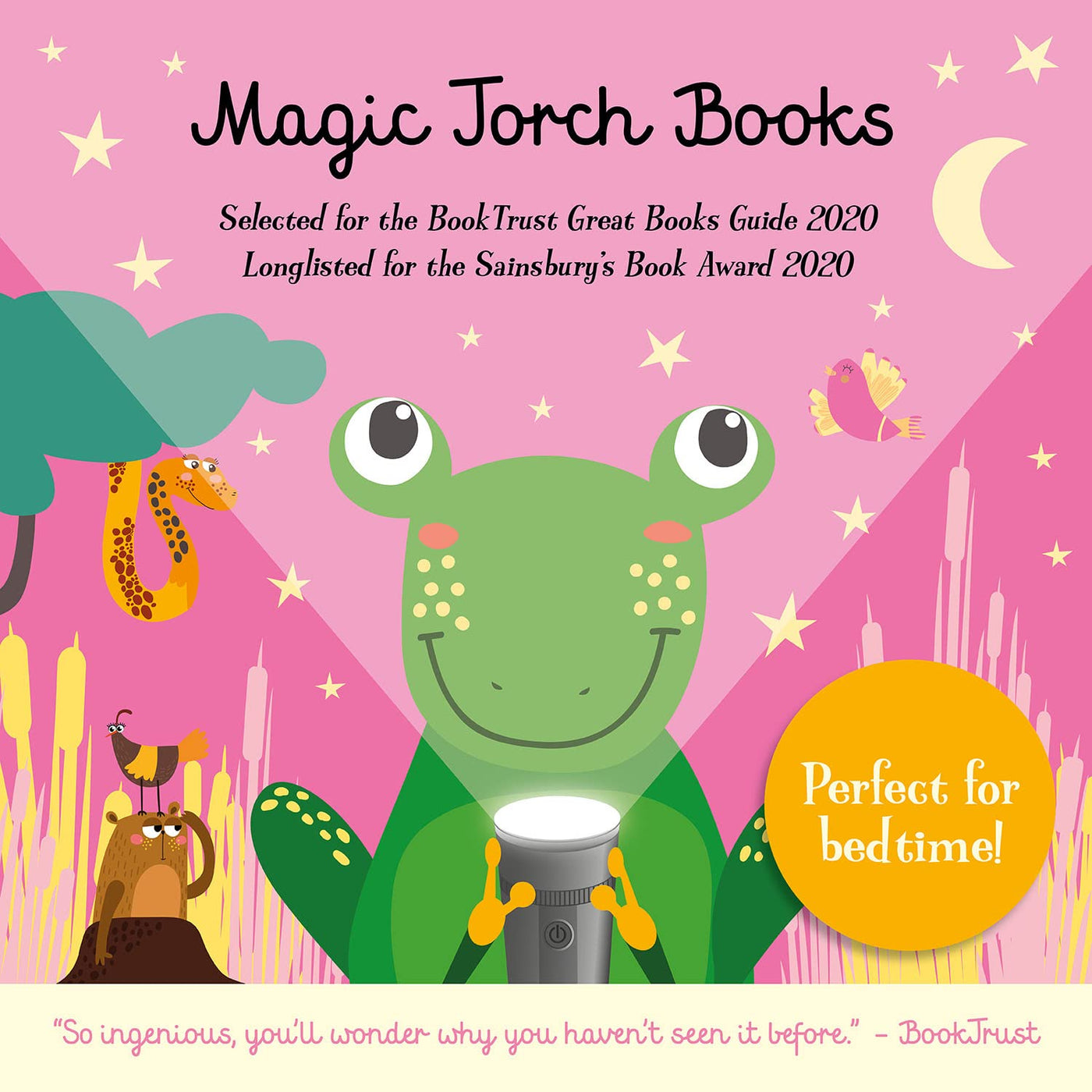 Magic Torch Books #06 Goodnight Frog (Amber Lily)