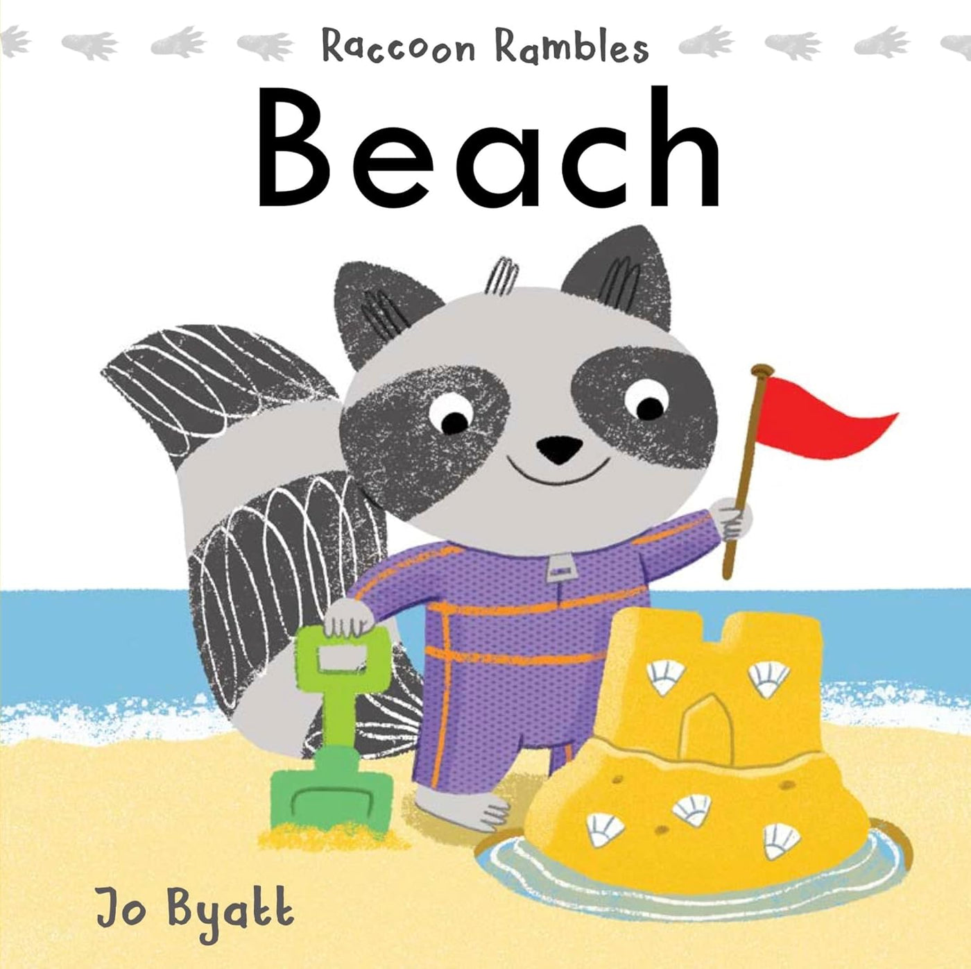 Raccoon Rambles: Beach