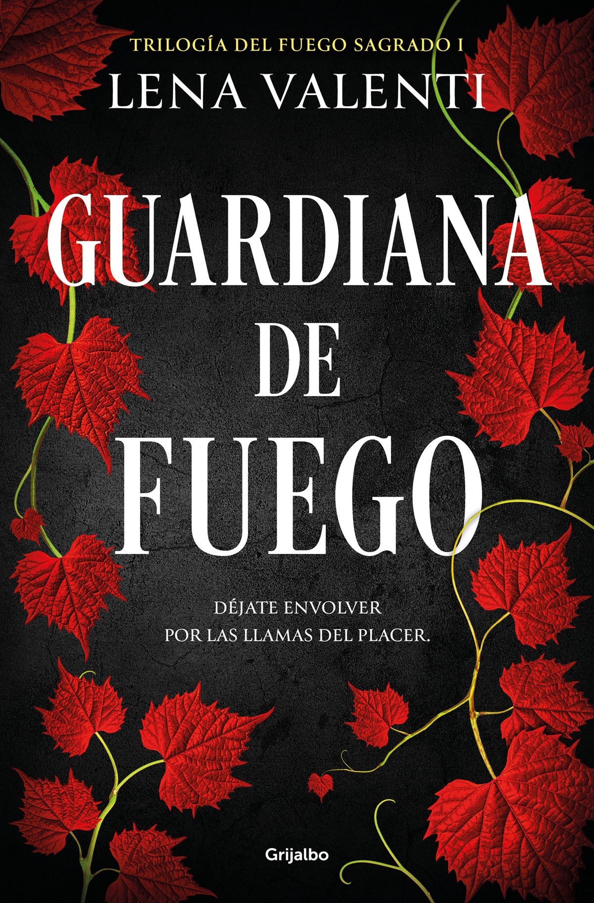 Guardiana de fuego / The Guardian of Fire cover (ISBN 9788425364754) [onix:b6271093fa3a601ae0fc4cf65e77bccd]
