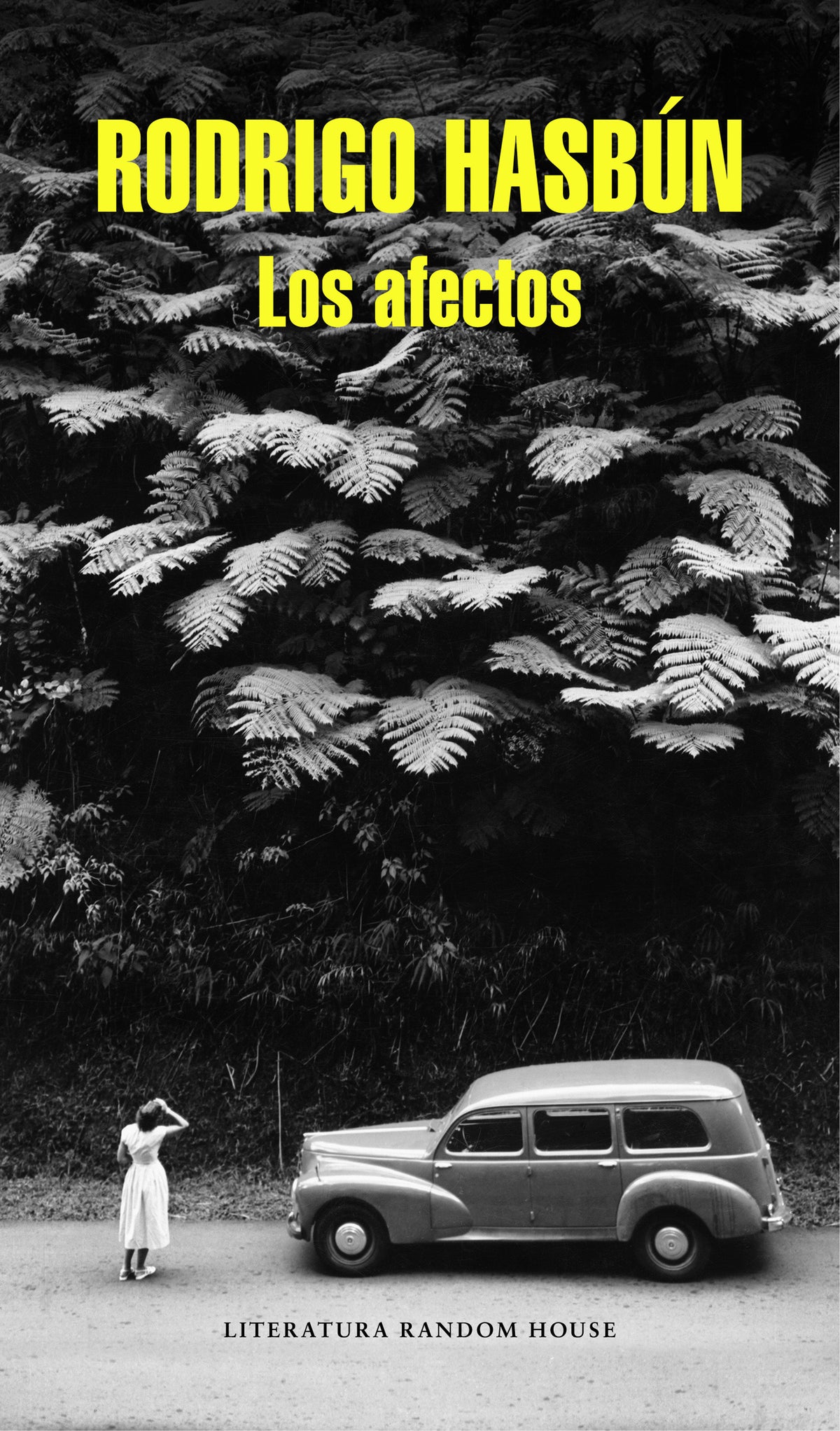 Los afectos / Affection cover (ISBN 9788439730637) [onix:0fe67cc2d8c0a561d01ffa57103b6b41]