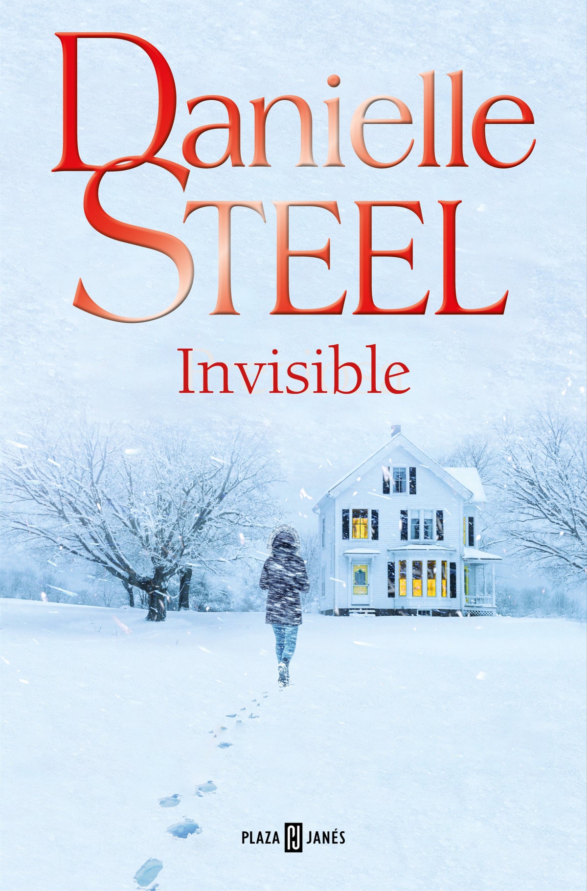 Invisible (Spanish Edition) cover (ISBN 9788401032882) [onix:e110ea5b2184d2387fb18ccbdace9ce6]