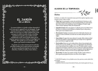 Almanaque de la bruja tradicional: Rituales, magia y folklore a lo largo del año / Traditional Witch's Almanac: Rituals, magic and folklore throughout the yea interior 1 (ISBN 9788402428394) [onix:86398c83256f3f0e90dca4ab040242ba]