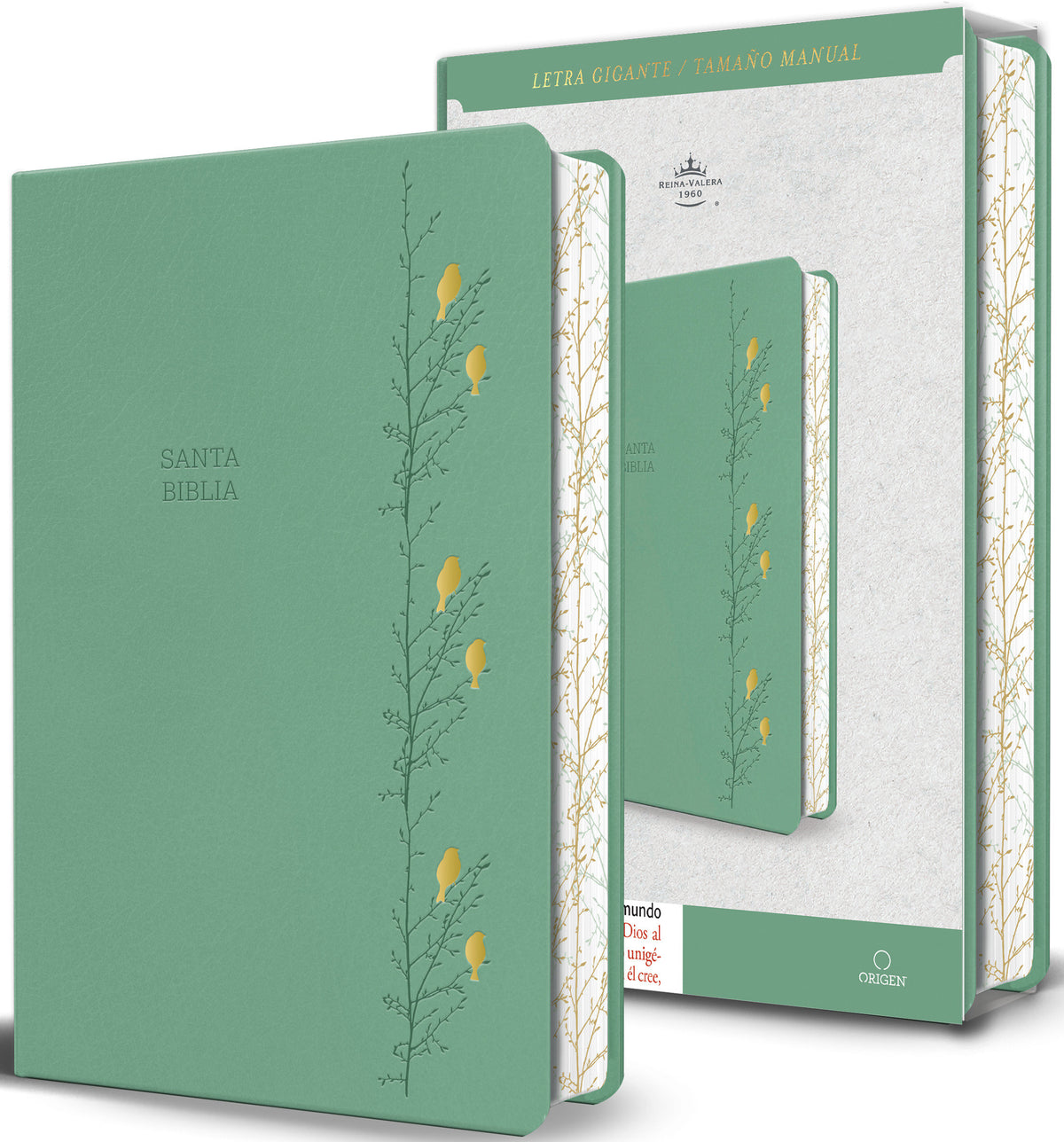 Biblia RVR 1960 Letra gigante símil piel verde con pájaros (Edición cantos pintados) / Spanish Bible RVR 1960 Giant Print Handy Size Leathersoft Green cover (ISBN 9798890982254) [onix:3da8cfea8f2bdd35dfbab03c34d40882]