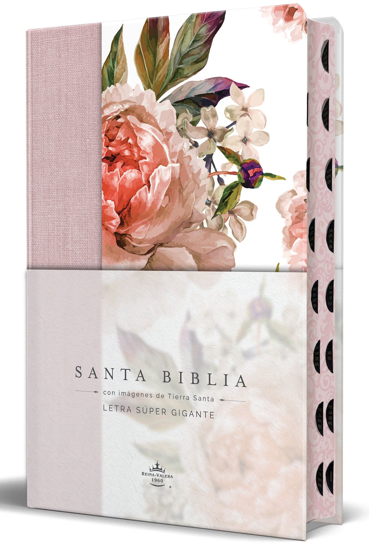 Biblia Reina Valera Revisada 1960 letra súper gigante, tapa dura con tela y flores rosada, cantos pintados e índice/ Spanish Bible RVR 1960 Super Giant Print cover (ISBN 9798890985705) [onix:53553cd4c28d27bac1e27fae351c843c]