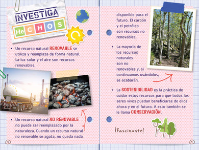 Ada Magnífica, científica, investiga: Todo sobre cuidar el planeta / Ada Twist, Scientist: Team Green! interior 1 (ISBN 9798890983268) [onix:0ddb828f47e8e9ec32f623a50c8a13d4]