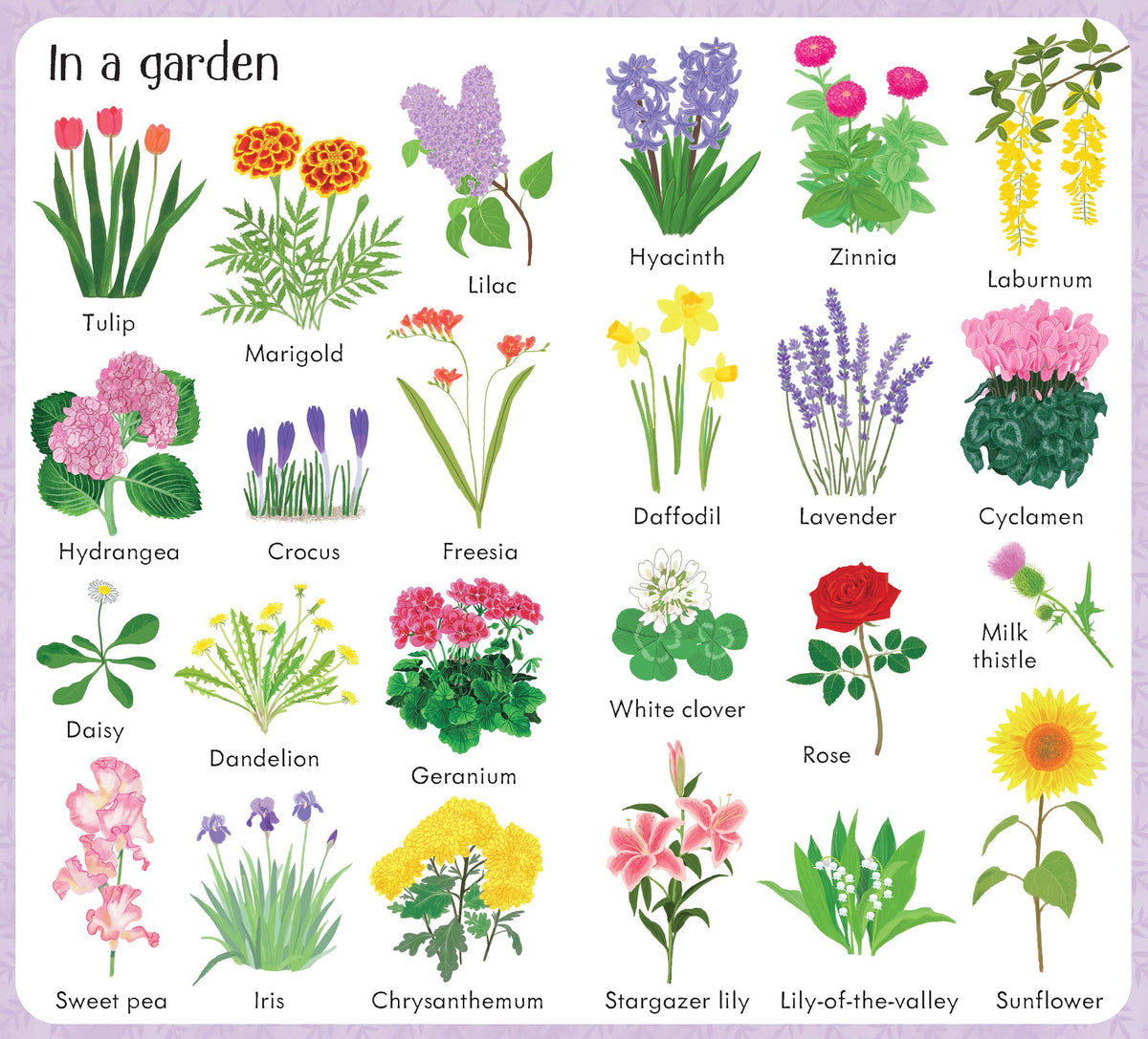199 Flowers interior 1 (ISBN 9781474950909) [onix-asset:f1ab5b5453cbdd6d393d477d264fb62bed5c5259b6c3184632f5a2aa885d8162]