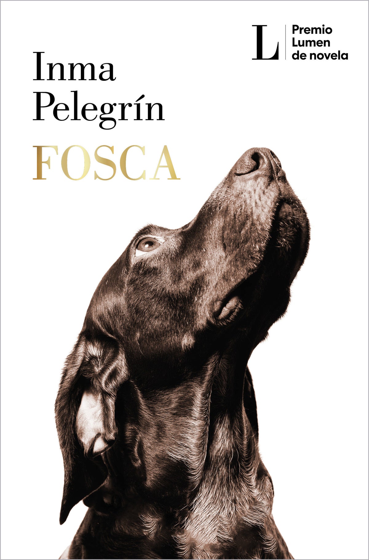 Fosca (PREMIO LUMEN 2025) / Gloomy (2025 LUMEN AWARD) cover (ISBN 9786073866002) [onix:ade50d60cdd63690f7a4c4e6b5722d92]