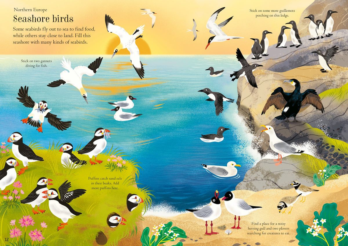 Little First Stickers Birds interior 1 (ISBN 9781805312352) [onix-asset:a9691ef0e4a4de70eee100d39a35a5111ae3d89469e4cd1e230fd5c25d8d6dcf]