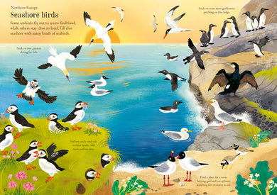 Little First Stickers Birds interior 1 (ISBN 9781805312352) [onix-asset:a9691ef0e4a4de70eee100d39a35a5111ae3d89469e4cd1e230fd5c25d8d6dcf]