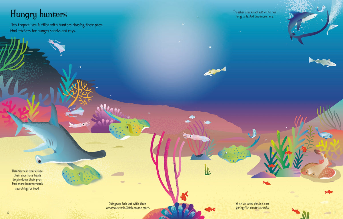 First Sticker Book Sharks and Rays interior 1 (ISBN 9781803709871) [onix-asset:4348862a03e6e479eb3b7a2454d078657a0c22313170686b12f6b9d204b4ce0c]