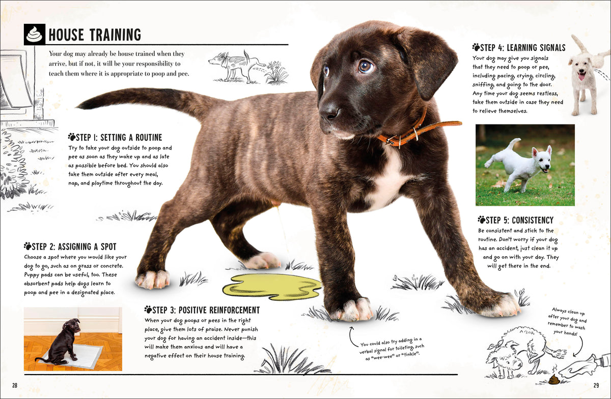 Book image [onix-asset:62ade4475f78c16a9e6e428264c090eab03f211c890f9b5f2152dd1aa4fef616]