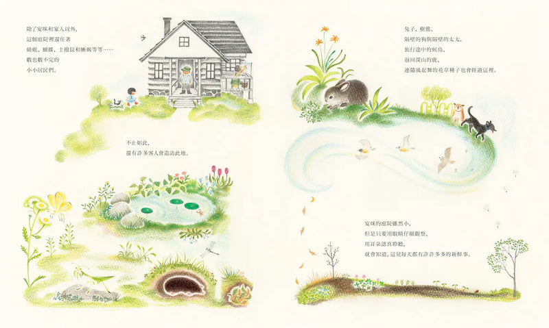 安咪的庭院〔經典自然系繪本．全新珍藏版〕