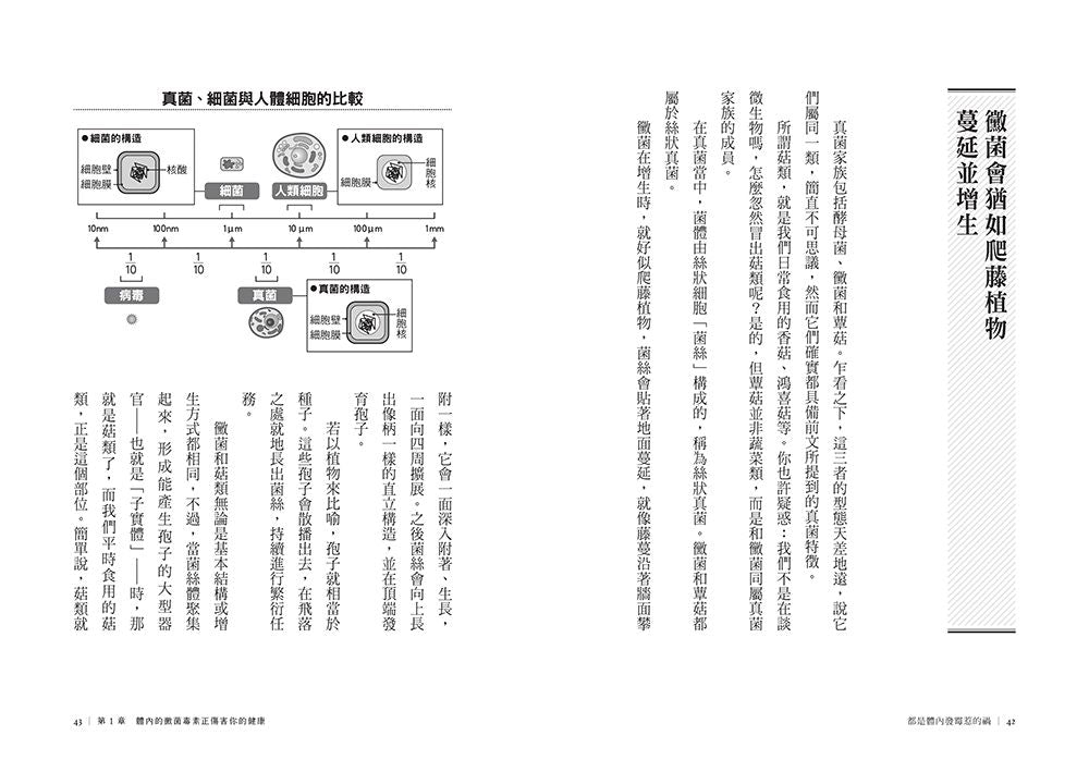 Inside Page 4