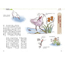 鳥類的機智都市生活 (一窺43種野鳥的逗趣百態)-非故事: 動物植物 Animal & Plant-買書書 BuyBookBook