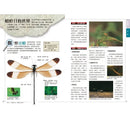 昆蟲觀察入門-非故事: 動物植物 Animal & Plant-買書書 BuyBookBook