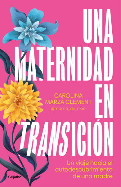 Una maternidad en transición / Maternity in Transition cover (ISBN 9788425367946) [onix:ebbd507957caf302da6a080b28431dfa]