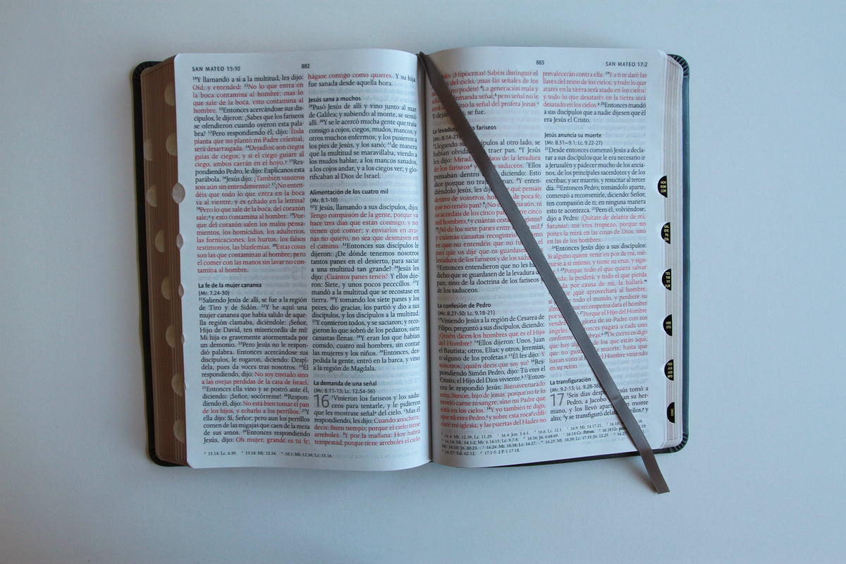 Biblia RVR 1960 letra grande tamaño manual, Piel gris con índice / Spanish Bible RVR 1960 Handy Size Large Print Leathersoft Gray with index interior 1 (ISBN 9798890982148) [onix:7a0a45ee0ee5a7e57d16a14dbf302db0]