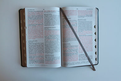 Biblia RVR 1960 letra grande tamaño manual, Piel gris con índice / Spanish Bible RVR 1960 Handy Size Large Print Leathersoft Gray with index interior 1 (ISBN 9798890982148) [onix:7a0a45ee0ee5a7e57d16a14dbf302db0]