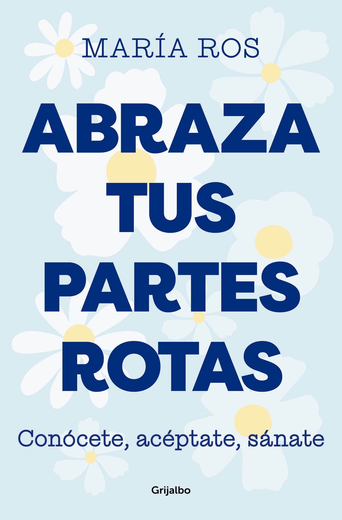 Abraza tus partes rotas: Conócete, acéptate, sánate / Embrace Your Broken Bits. Know Yourself, Accept Yourself, Heal Yourself cover (ISBN 9788425364235) [onix:e802976ffcb8ec7a3d27c80e5e0e2e00]