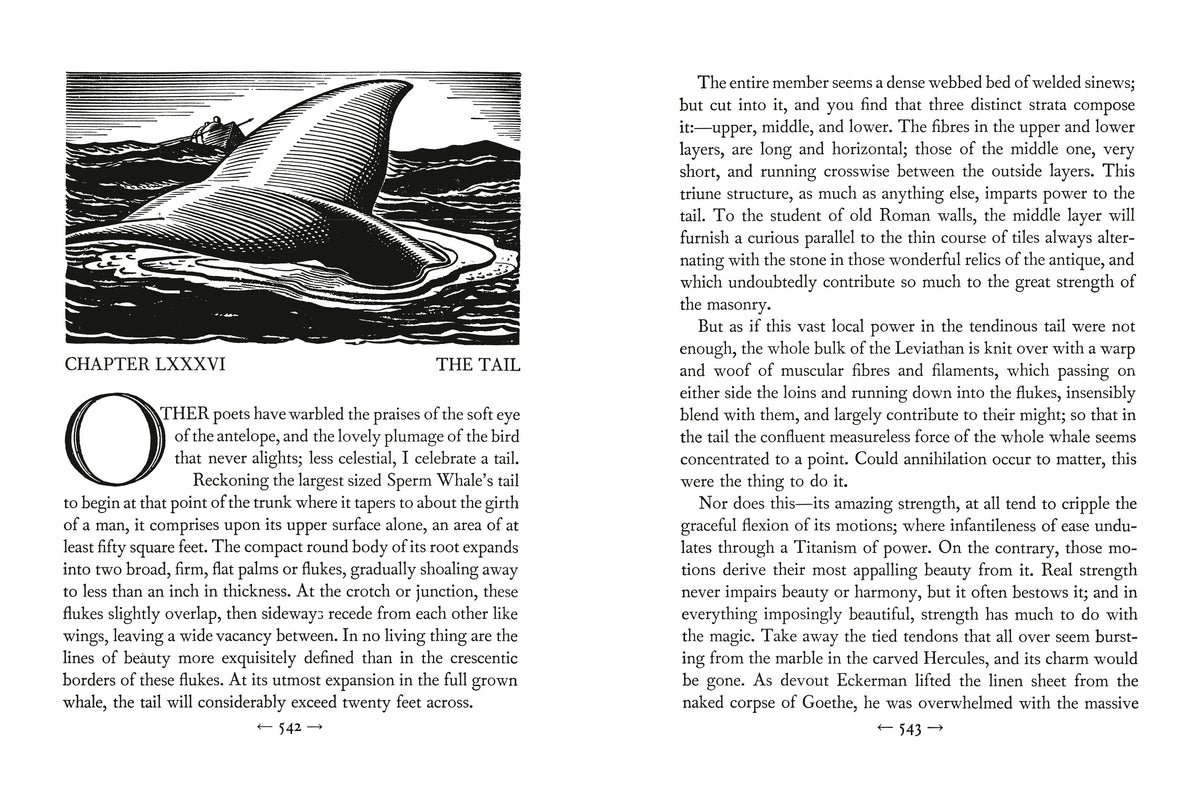 Book interior [onix-asset:e7932aa49674a3b6bbd171c45f963574a36dfaa1221bdfdc33d8e449b6c4ddb1]