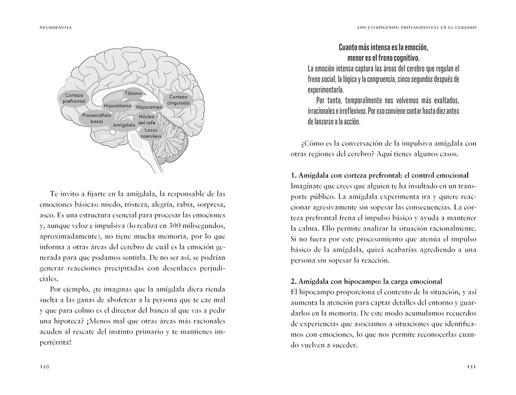 Neuropausia / Neuropause interior 2 (ISBN 9791387629731) [onix:99bd849236d1bf67fb7d0682b449876d]
