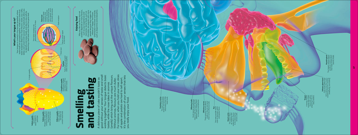Book interior [onix-asset:0f63357a9ed9be863bc6790c709727bf209f386927a2f0d05503191d10d78332]