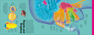 Book interior [onix-asset:0f63357a9ed9be863bc6790c709727bf209f386927a2f0d05503191d10d78332]