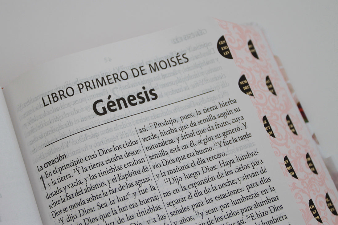 Biblia Reina Valera Revisada 1960 letra súper gigante, tapa dura con tela y flores rosada, cantos pintados e índice/ Spanish Bible RVR 1960 Super Giant Print interior 8 (ISBN 9798890985705) [onix:4aef392e22b7c3b92b46a5ee6213c358]
