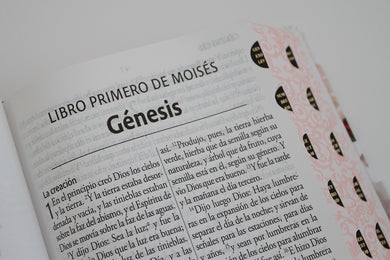 Biblia Reina Valera Revisada 1960 letra súper gigante, tapa dura con tela y flores rosada, cantos pintados e índice/ Spanish Bible RVR 1960 Super Giant Print interior 8 (ISBN 9798890985705) [onix:4aef392e22b7c3b92b46a5ee6213c358]