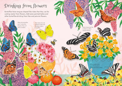 Little First Stickers Butterflies interior 1 (ISBN 9781803704586) [onix-asset:4b304603a51b00c839f5ebf5f7144502b976f49699e79bba74cb4bfc843b27da]