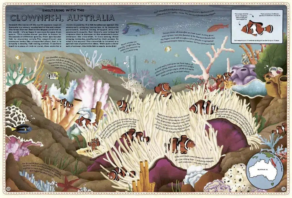 Atlas of Ocean Adventures: A Collection of Natural Wonders, Marine Marvels and Undersea Antics from Across the Globe-Nonfiction: 動物植物 Animal & Plant-買書書 BuyBookBook