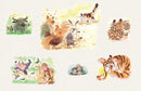 The Twelve Animals of the Chinese Zodiac-Children’s picture books-買書書 BuyBookBook