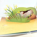 你在媽媽肚子裡的樣子 ［精美書盒典藏版］（1：1真實比例小寶寶立體書，呈現媽媽懷胎九月的胎內樣貌）-Children’s / Teenage general interest: General knowledge and interesting facts-買書書 BuyBookBook