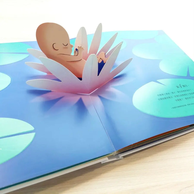 你在媽媽肚子裡的樣子 ［精美書盒典藏版］（1：1真實比例小寶寶立體書，呈現媽媽懷胎九月的胎內樣貌）-Children’s / Teenage general interest: General knowledge and interesting facts-買書書 BuyBookBook