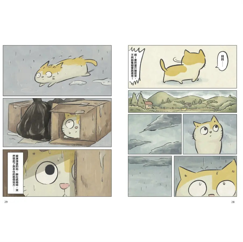 黃阿瑪的後宮生活 阿瑪流浪記：在相遇之前的故事-Graphic novels/ Comic books/ Manga/ Cartoons-買書書 BuyBookBook