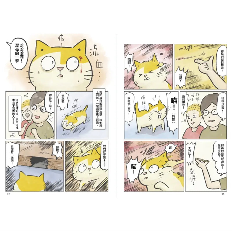 黃阿瑪的後宮生活 阿瑪流浪記：在相遇之前的故事-Graphic novels/ Comic books/ Manga/ Cartoons-買書書 BuyBookBook