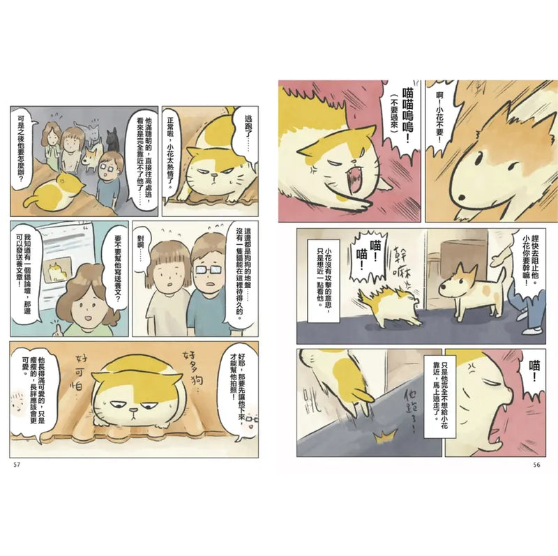 黃阿瑪的後宮生活 阿瑪流浪記：在相遇之前的故事-Graphic novels/ Comic books/ Manga/ Cartoons-買書書 BuyBookBook