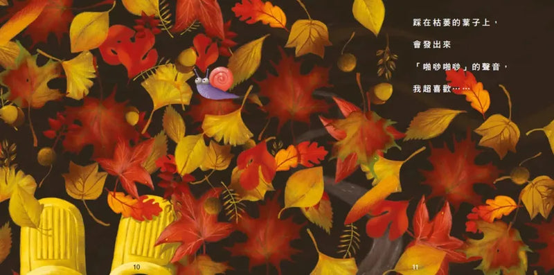 聲音【美國獨立出版獎最受喜愛傑出作品：認知學習X想像創意繪本】