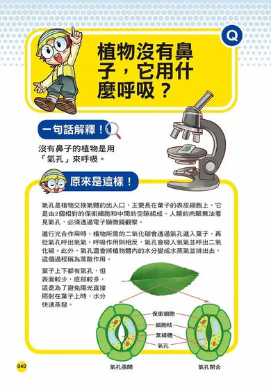 誰最強？！99％小學生都不懂的冷知識(2) 章魚有９個腦？（附學習單）-Children’s / Teenage general interest: General knowledge and interesting facts-買書書 BuyBookBook