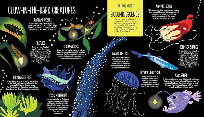 Facts (Susan Martineau)-Children’s / Teenage general interest: General knowledge and interesting facts-買書書 BuyBookBook