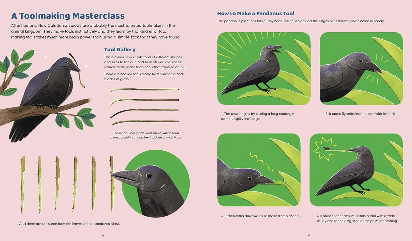 Curious Creatures: Working With Tools (Zoë Armstrong)-Children’s / Teenage general interest: Nature and animals-買書書 BuyBookBook