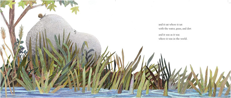 A Stone Sat Still-Children’s picture books-買書書 BuyBookBook