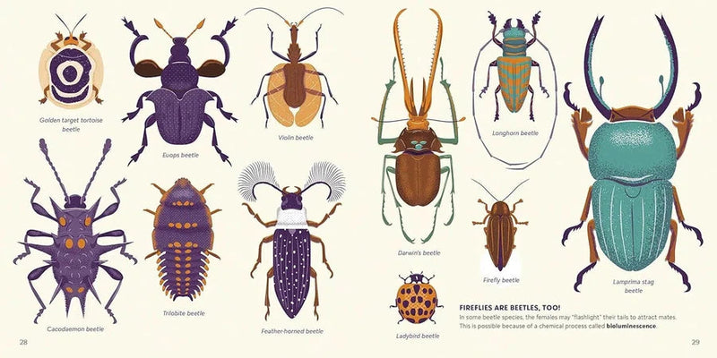 Amazing Insects Around the World-Children’s / Teenage general interest: Nature and animals-買書書 BuyBookBook