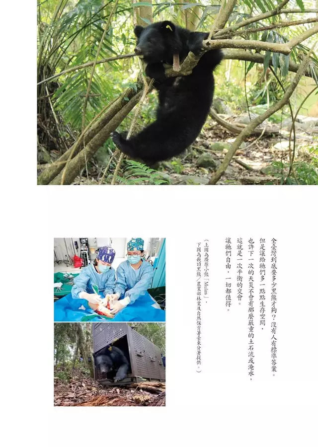 傷獸之島：我當野生動物獸醫師的日子