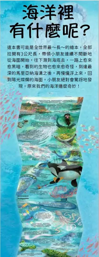 海洋裡有什麼呢?