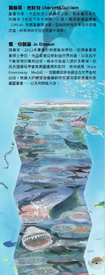 海洋裡有什麼呢?