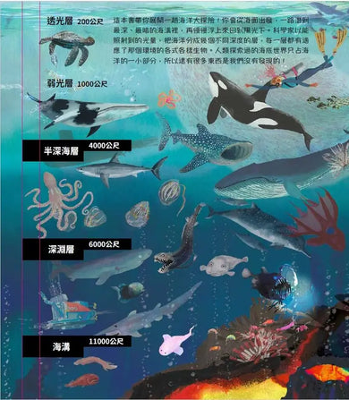 海洋裡有什麼呢?